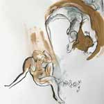 croquis