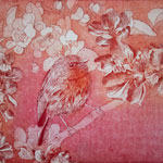 Eau-forte - Rouge-gorge — Nolwenn Guillou